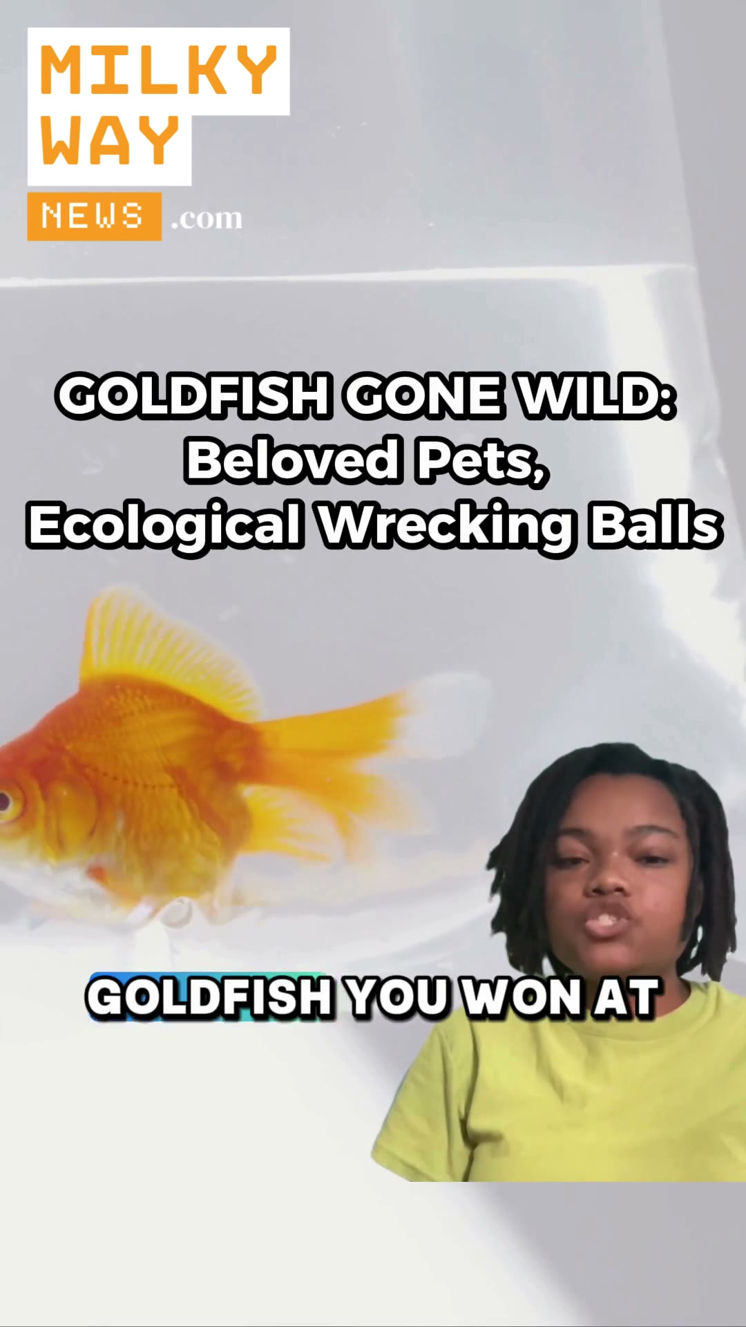 Goldfish Gone Wild: Beloved Pets And Ecological Wrecking Balls